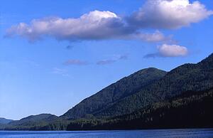Forests and lake