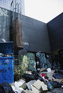 Mounds of garbage