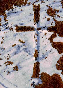 A cross on the ground in the snow and moss