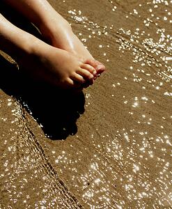 Legs and feet in the shallows