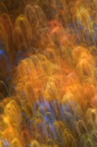 Abstract fall colors