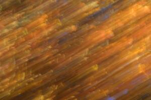Abstract Fall colors