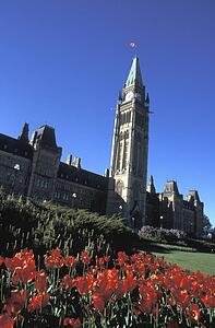 Large building and clock tower with formal gardens