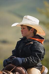 A young cowboy on cattle round up in Southern Alberta Canada