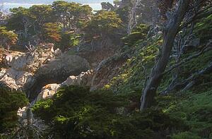 Rocky hillside and trees