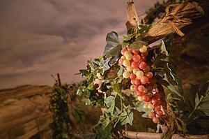 A succah