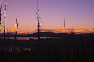 A view of a lake against the rising moon
