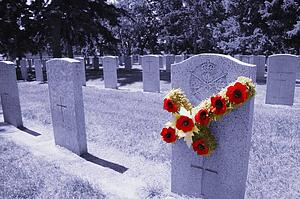 We shall remember them