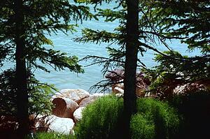A shoreline of a body of water