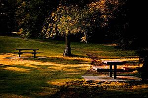 Park and picnic benches