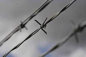 Closeup of barbed wire fencing