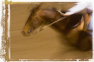 Moving horse