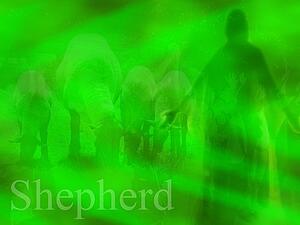 Silhouette behind green design