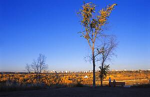 Fall city skyline
