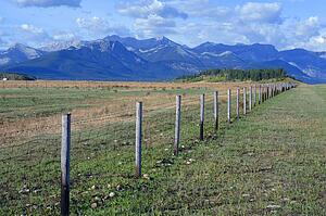 Field with mountain range in background
