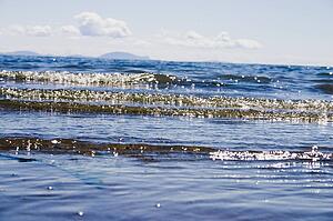 Waves coming in