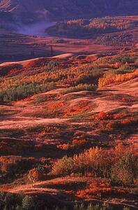 A beautiful landscape