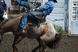 Rainmaker Rodeo