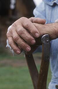 Old hands holding a cane