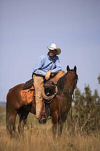Cowboy and horse
