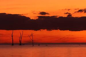 Pelee Island Nature Reserve at Sunset