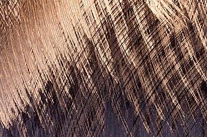 A texture