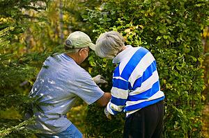 Seniors doing yard work