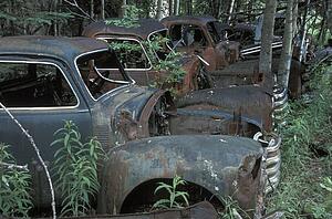 Old vehicles in a forest