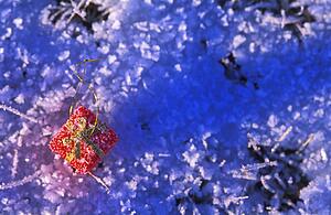 A present ornament