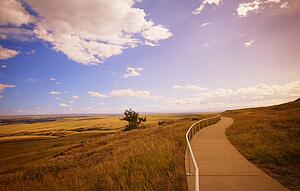 A pathway in a rural area