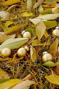 Golden balls among fallen leaves