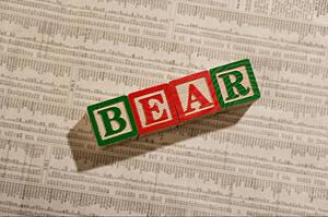 The Bear