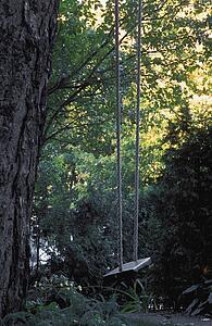 A private woodland swing