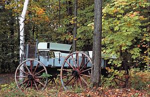 A wagon in the woods