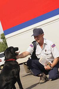 Mail carrier pets dog