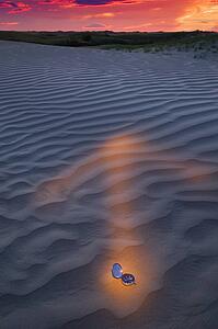 Compass pointing direction in Desert