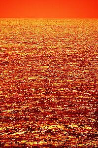 Orange texture