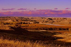 A hilly landscape