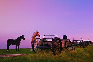 Horses beside broken carriages