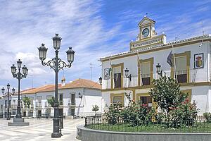 European Town Hall
