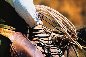 Cowboy with rope
