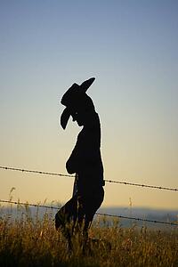 A western ornament