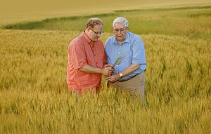 Father and son look at crop