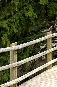 Wooden walkway
