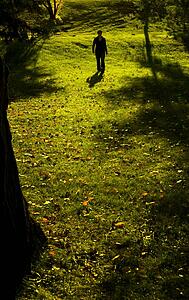 An afternoon stroll