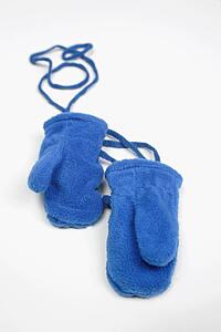A pair of blue mittens