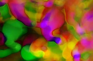 A colorful motley