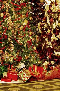 Christmas trees and gifts
