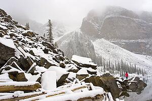 Winter scene