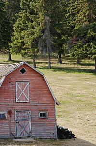 Barn